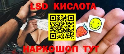 a pvp Камышлов
