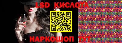 a pvp Камышлов
