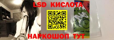 a pvp Камышлов