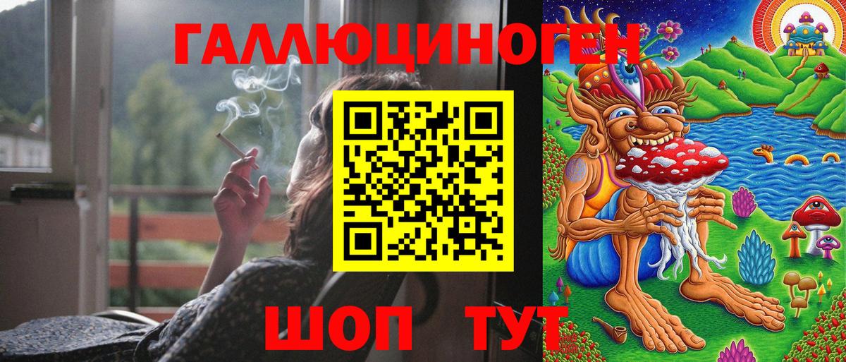 магазин продажи наркотиков  Галлюциногенные грибы Magic Shrooms  Вход с VPN  Краснознаменск  Галлюциногенные грибы MAGIC MUSHROOMS 