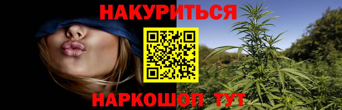 Канабис конопля Краснознаменск